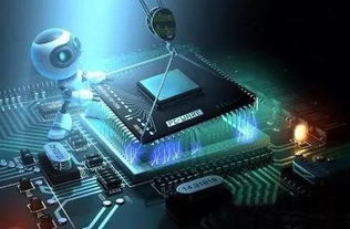 好大學與好專業 網絡科技領域如何明智選擇，拒絕盲目跟風